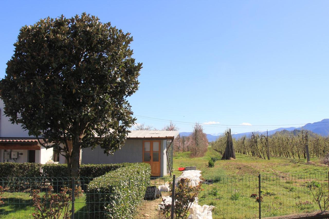 Appartamento Casa Dell'Amicizia Castellani Esterno foto